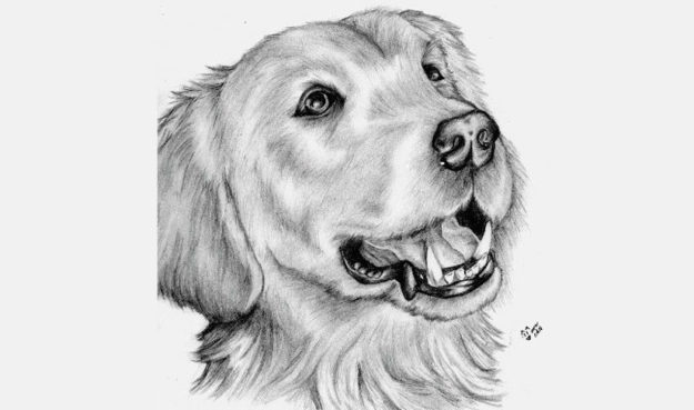 Chiste sobre la Ezquisofrenia