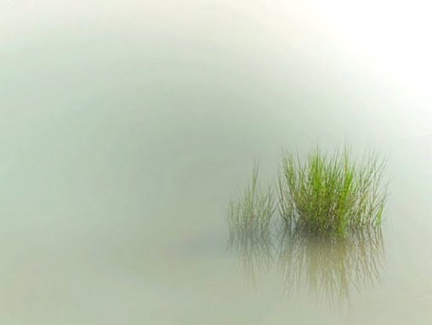 Crisis de Ansiedad Crisis de Ansiedad